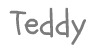 teddysign
